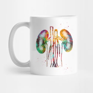 Kidneys anatomy Mug